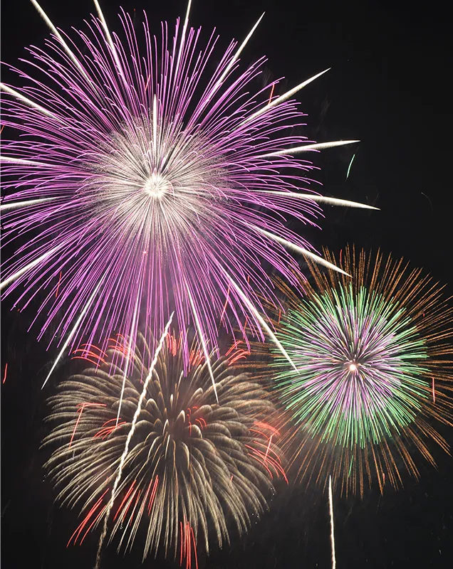 東京湾大華火祭