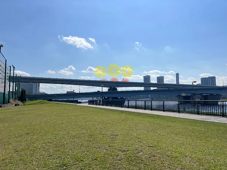 豊洲ぐるり公園③（芝生）