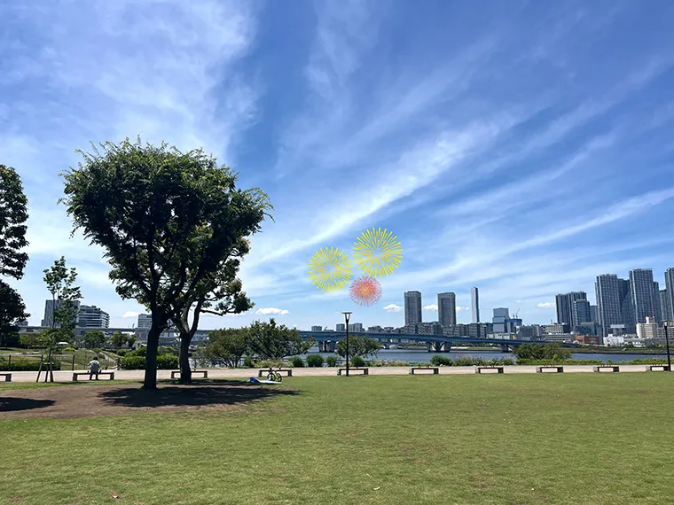 豊洲公園（芝生）